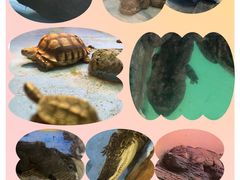 -青藏高原野生动物园