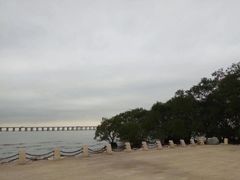 -宝安西湾红树林湿地公园