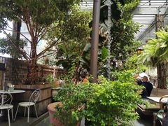 -The Grounds of Alexandria