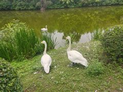 -沈阳鸟岛