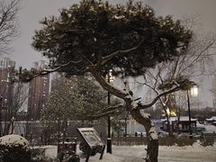 -迎泽公园