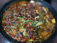 -三猫黑鱼花(南大店)