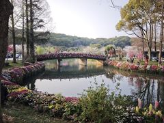 -苏州上方山国家森林公园