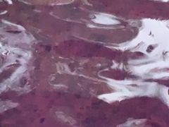 -广州都喜泰丽温泉度假酒店