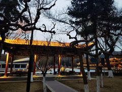 -金城公园