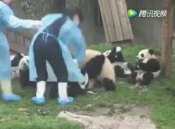 点击看大图 -YESIDO椰岛美容