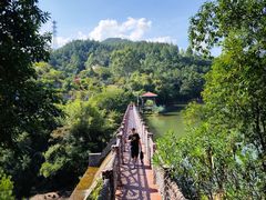 -广州白江湖森林公园