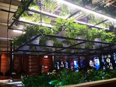 -猫爪爪原切自助烤肉(观音桥阳光世纪店)