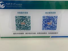 -中国农业大学动物医院
