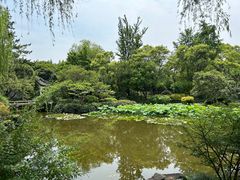 -秋霞圃