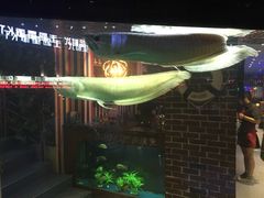 -一味清欢300℃时尚烤鱼(北京华联店)