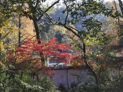 -九曜山
