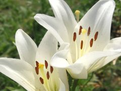 -长春公园(普阳街道)