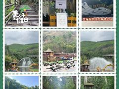 -西双版纳原始森林公园