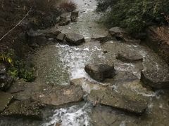 -帐篷客·溪龙茶谷度假酒店