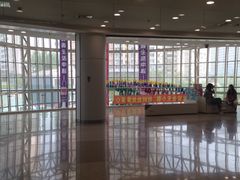 -沈阳HAI乐园