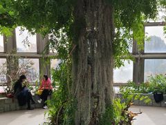 -北京植物园-展览温室