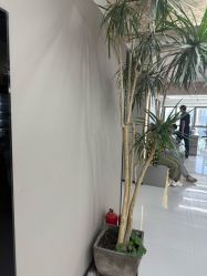 -宫铭烫发染发接发店