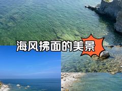 -养马岛旅游度假区