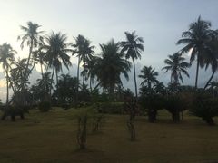-万泉河漂流