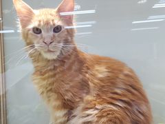 -乐宠宠物店(世纪金源店)