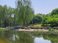 -东升八家郊野公园