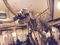 -信不信由你博物馆