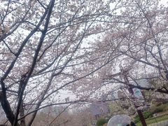 -堤角公园