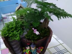 -A+匠心DIY手工坊·首饰·微景观
