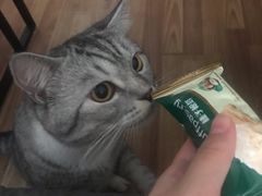 -瑞鹏宠物医院·骨科·猫科·内科(第一中心)