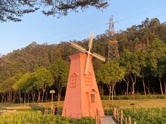 -顺峰山公园