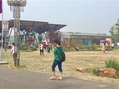 -上海长兴岛郊野公园