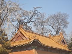 -戏马台景区