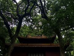 -普陀山风景名胜区-法雨禅寺