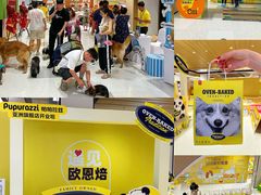 -帕帕拉兹宠物(亚洲旗舰店)