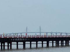 -濠轩阁特色生蚝火锅总店