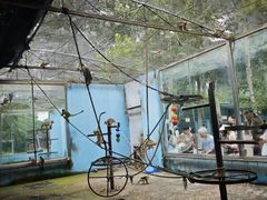-秦皇岛野生动物园