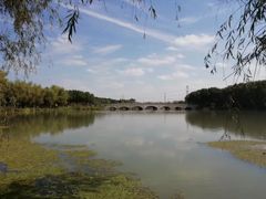 -昆山城市生态森林公园