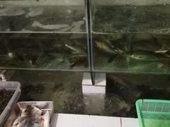 -小乡小镇·传承桐庐土菜·老板亲自烧的菜