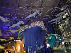 -烟台海昌鲸鲨海洋公园