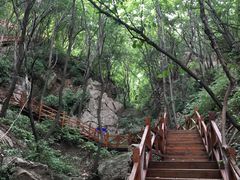 -大岭沟猕猴桃谷风景区