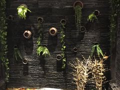 -一只烧鸡公(解放碑店)