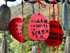 -西双版纳原始森林公园