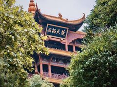 -黄鹤楼公园(黄鹤楼)