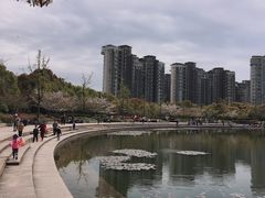 -新江湾城公园