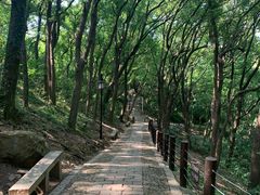 -苏州上方山国家森林公园