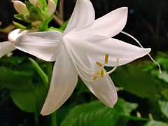 -麦当劳(军博店)