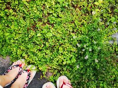 -花钟亭花屋日式旅馆