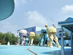 -芜湖新华联大白鲸海洋公园