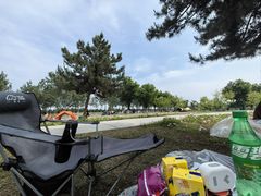 -汉长安城未央宫国家考古遗址公园